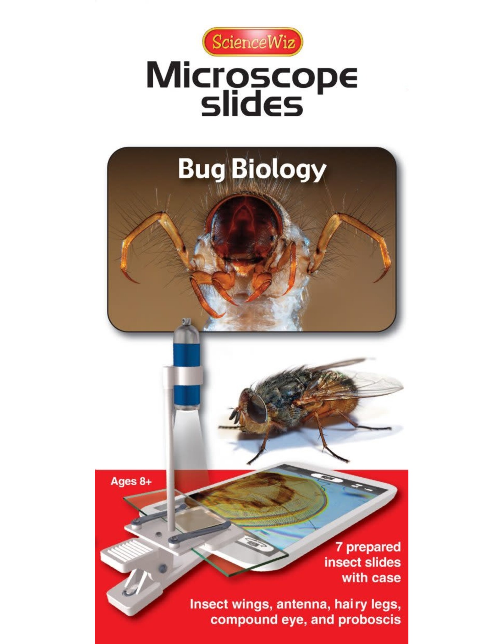 Bug Biology Slides (set of 7)