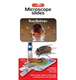 Bug Biology Slides (set of 7)