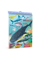 Shark Sketchbook
