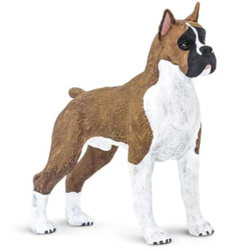 Boxer
