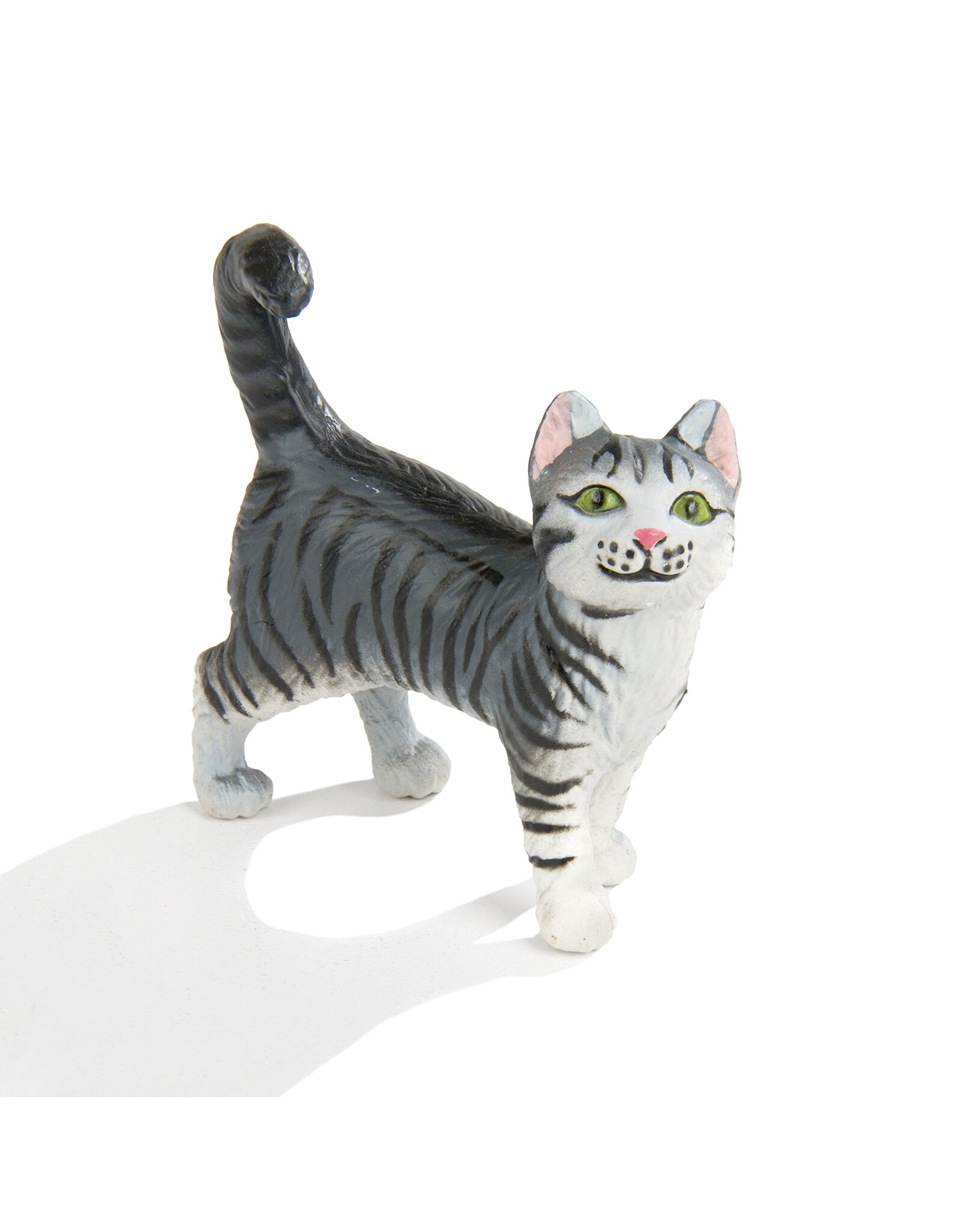 Gray Tabby Cat