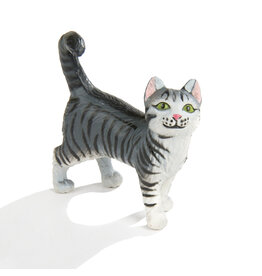 Gray Tabby Cat