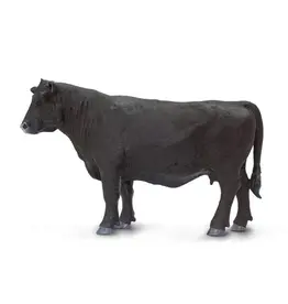 Angus Bull