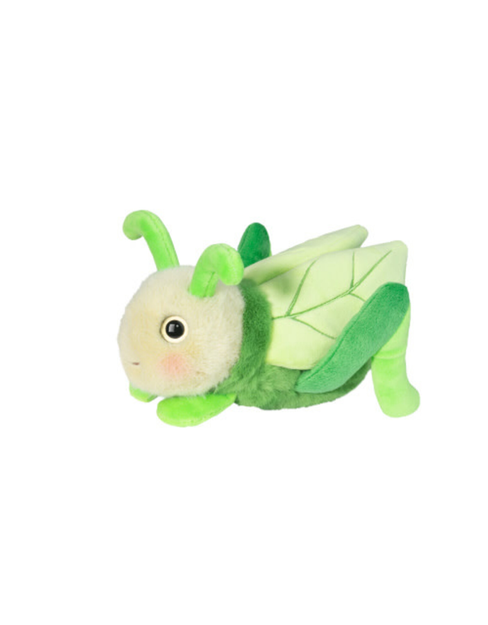 Kady Grasshopper