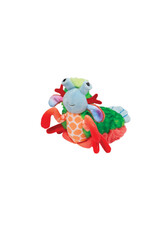 Punchie Mantis Shrimp