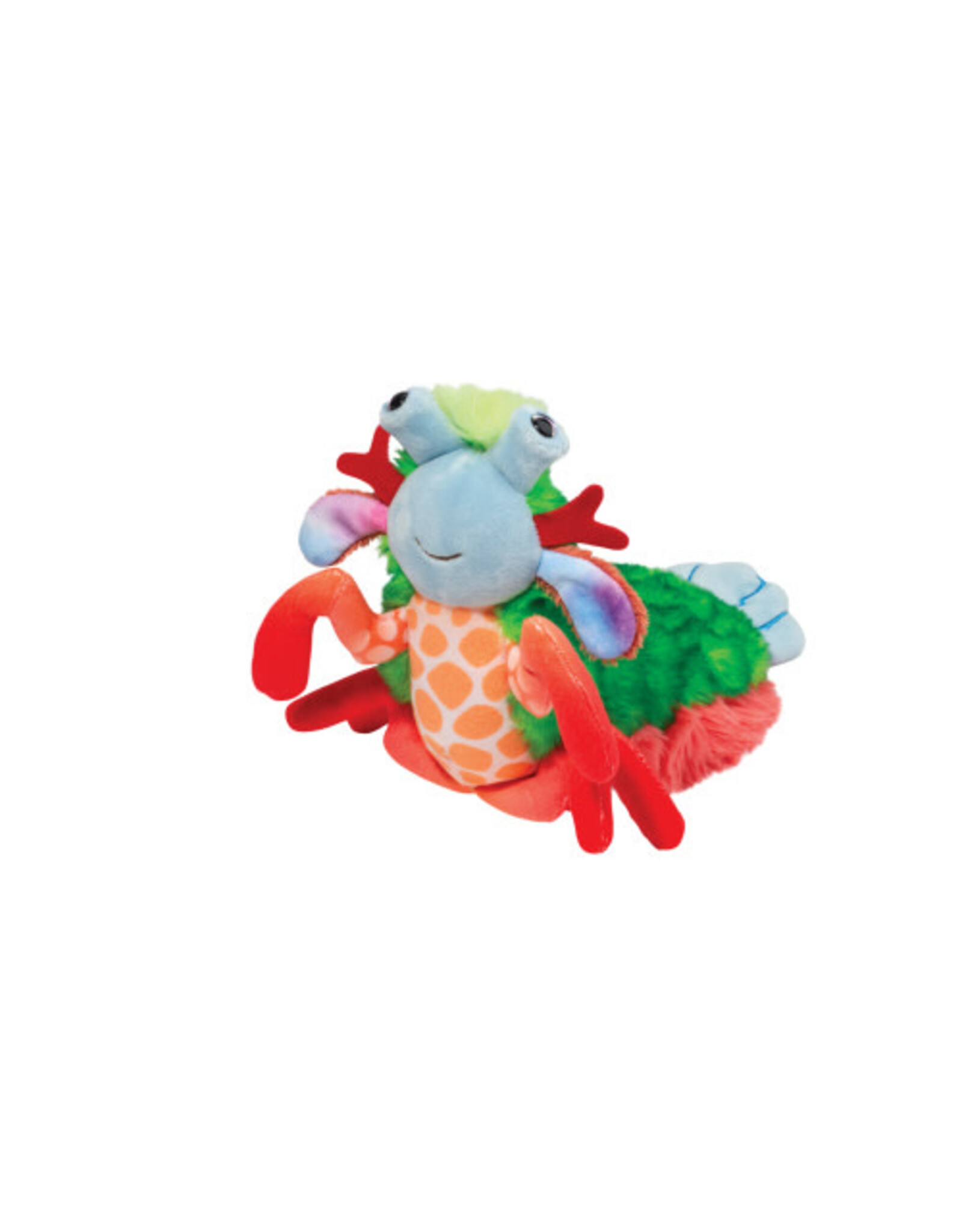 Punchie Mantis Shrimp