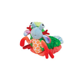 Punchie Mantis Shrimp