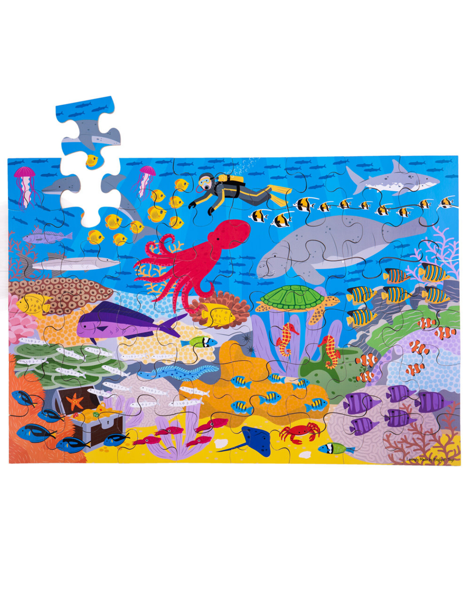 Under the Sea Floor Puzzle