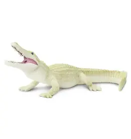 White Alligator