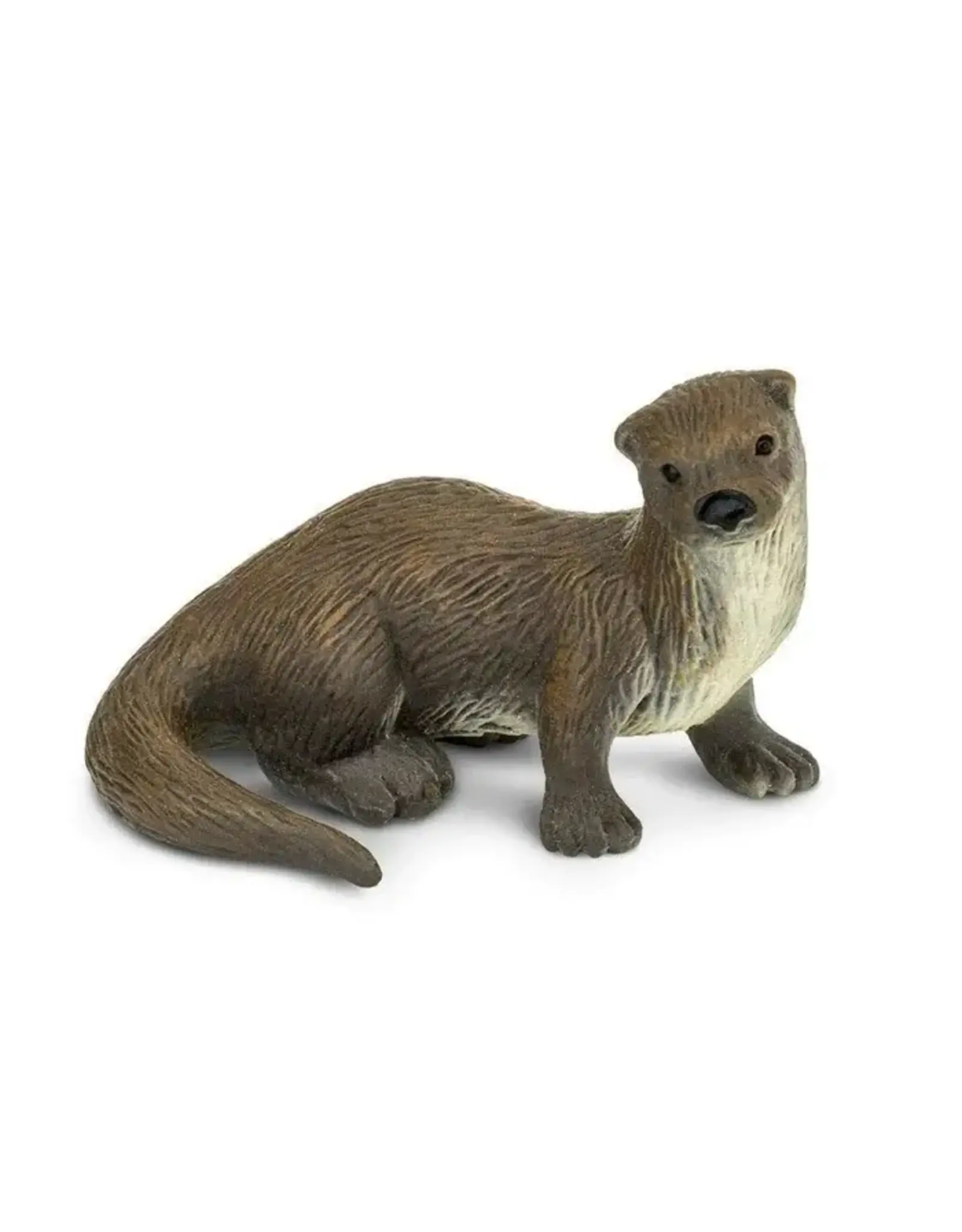 River Otter