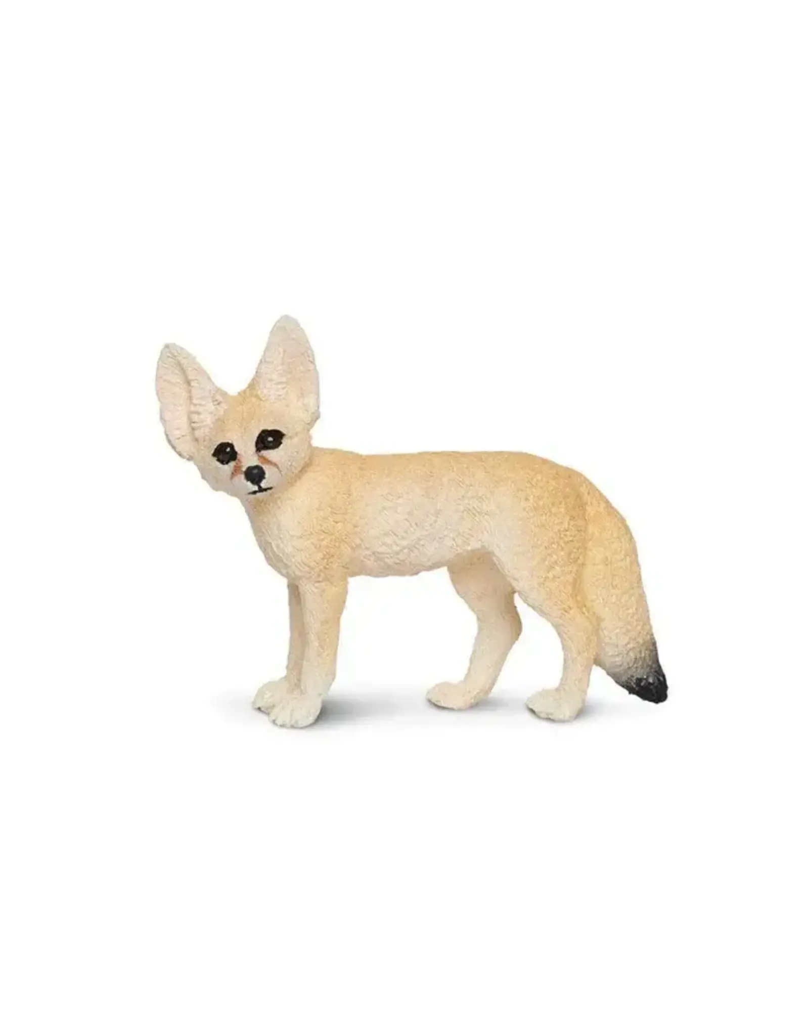 Fennec Fox