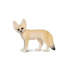 Fennec Fox Fennec Fox