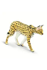 Serval