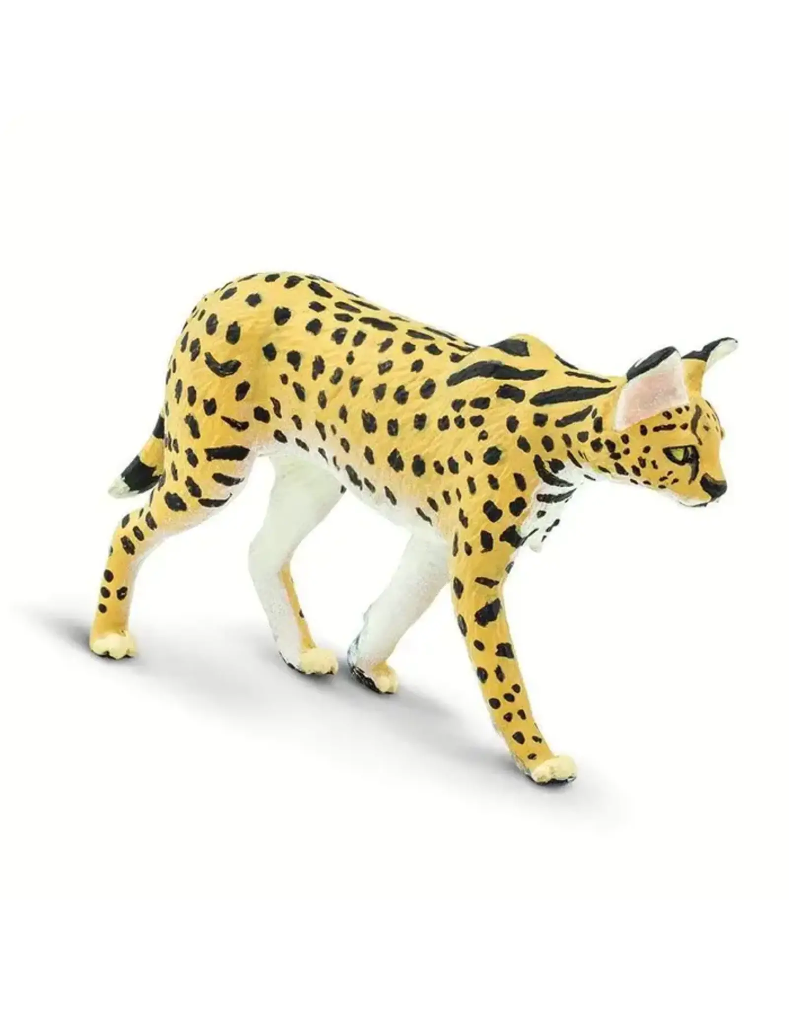Serval