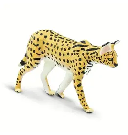 Serval Serval
