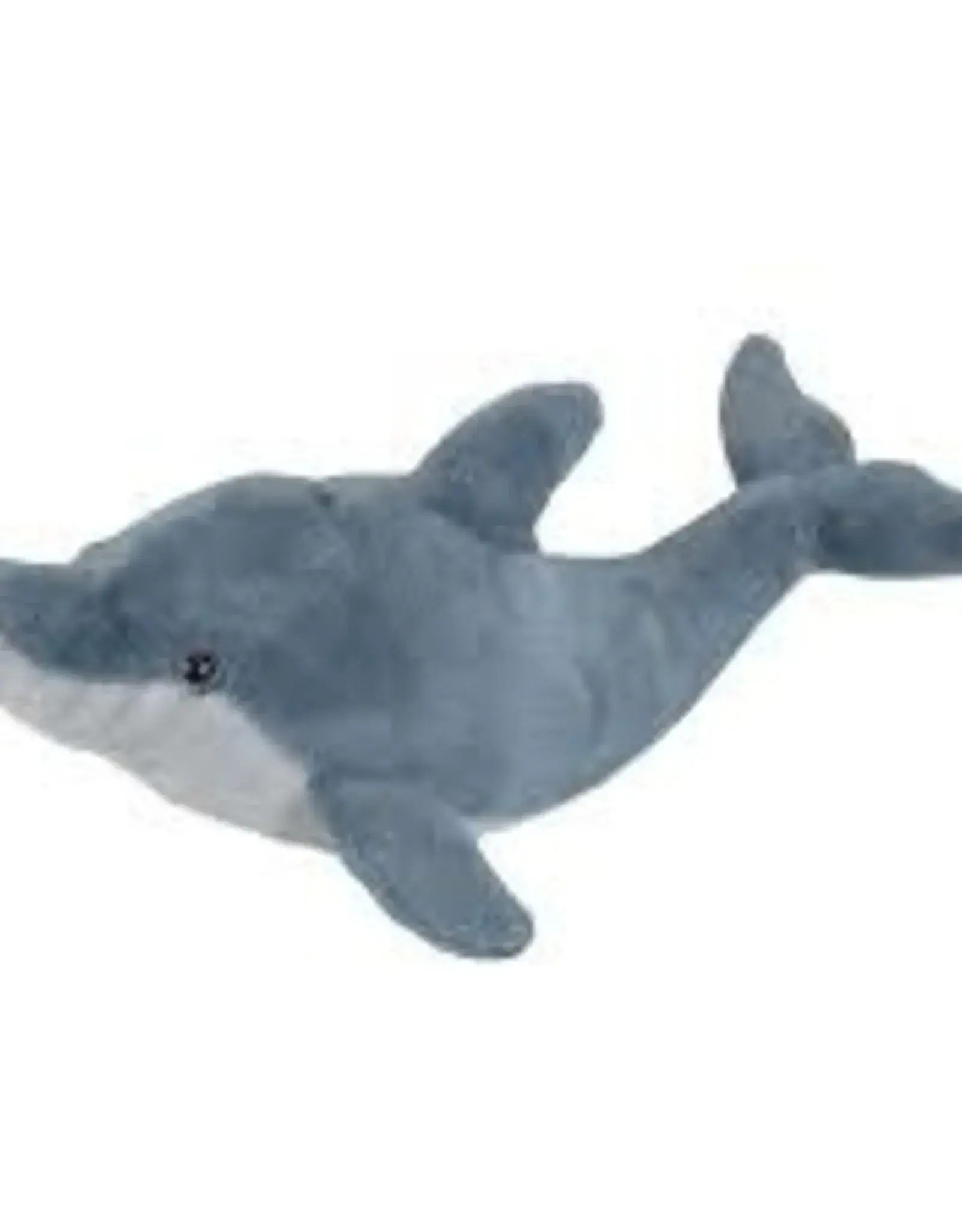 Dolphin