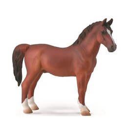 Hackney Stallion Chestnut