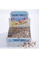 Shore Shells to Go