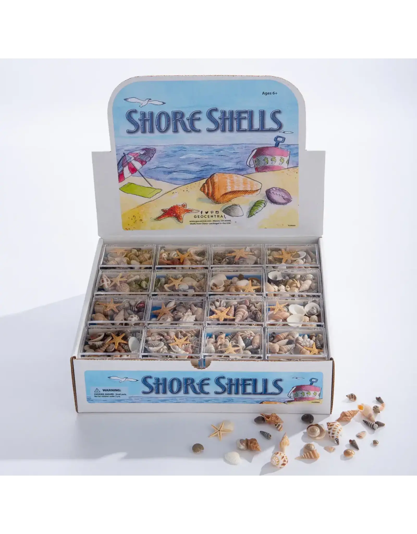Shore Shells to Go
