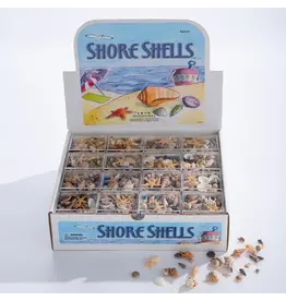 Shore Shells to Go