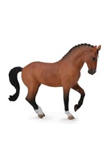 Bay Hanoverian Mare
