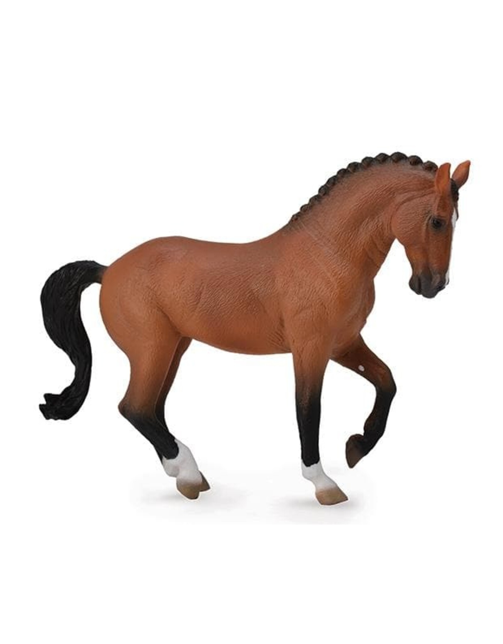 Bay Hanoverian Mare