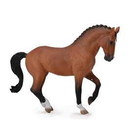 Bay Hanoverian Mare