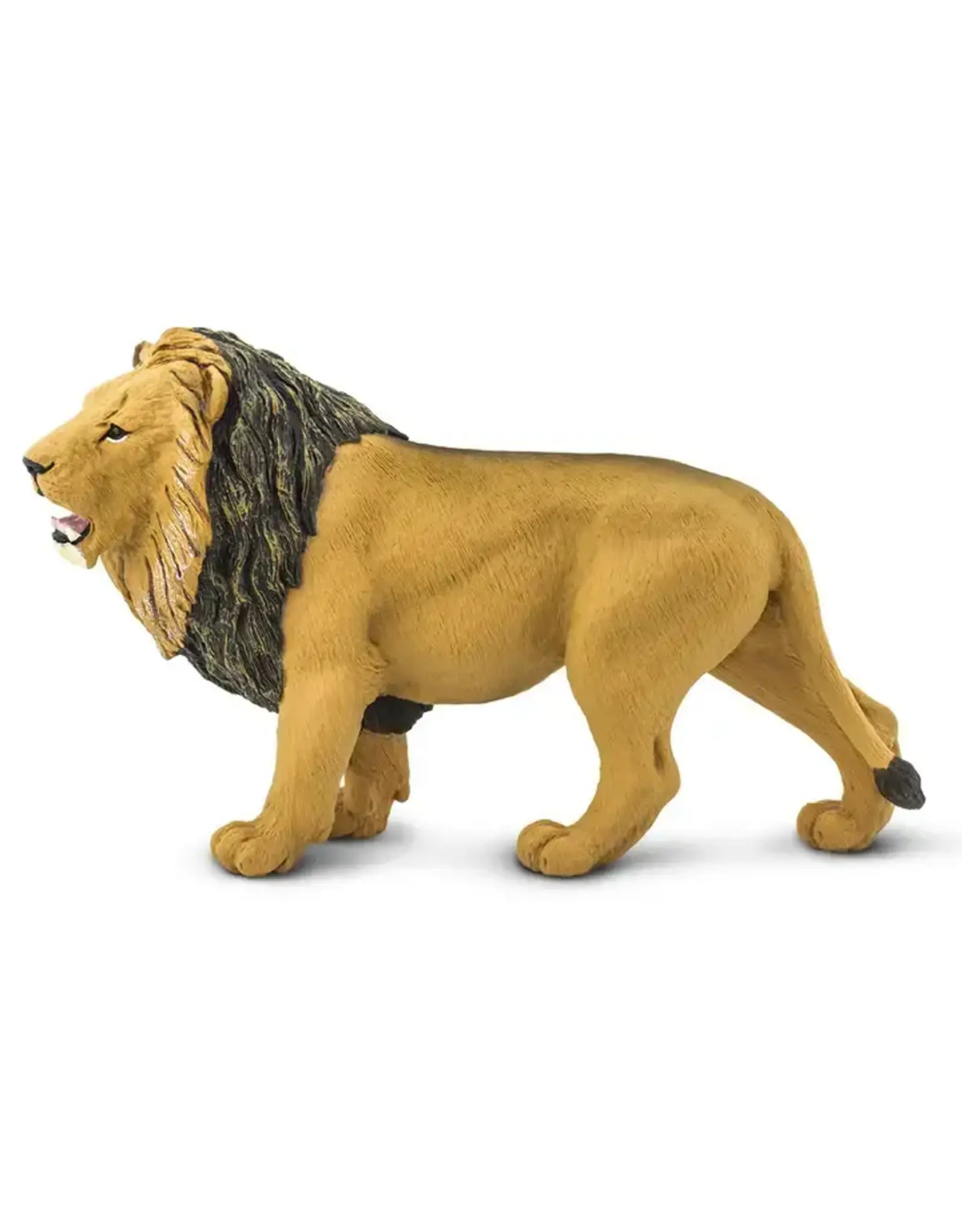 Lion - Large
