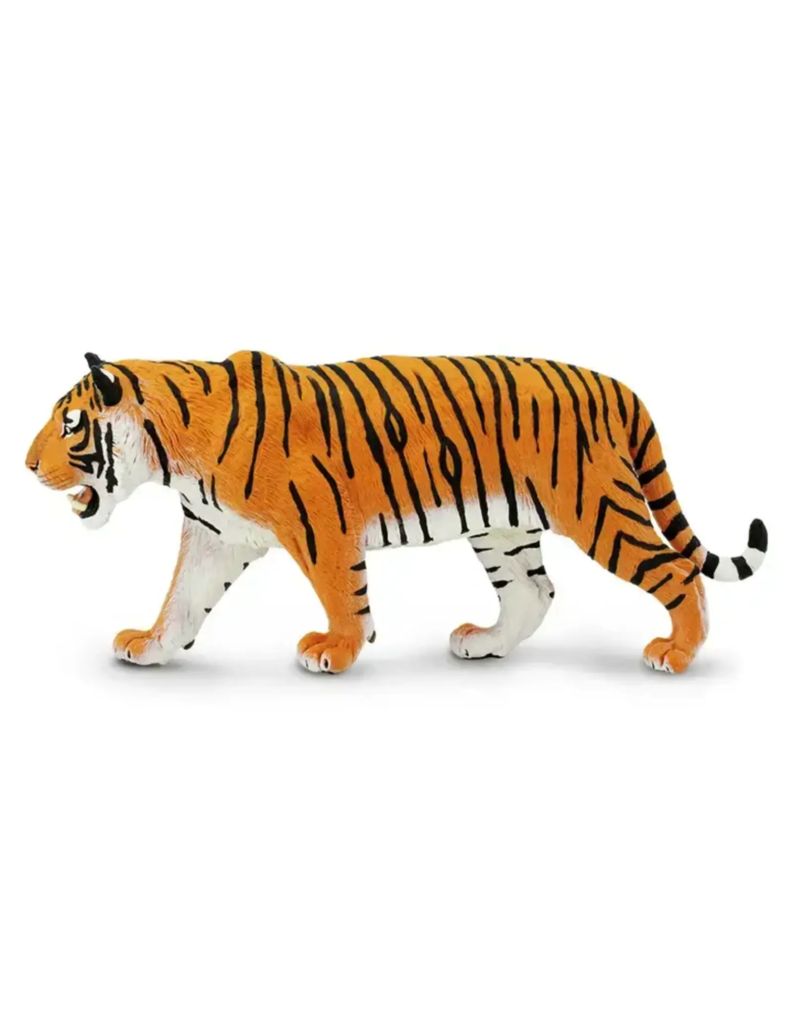 Siberian Tiger -Large