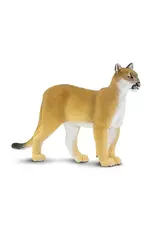 Florida Panther- Large
