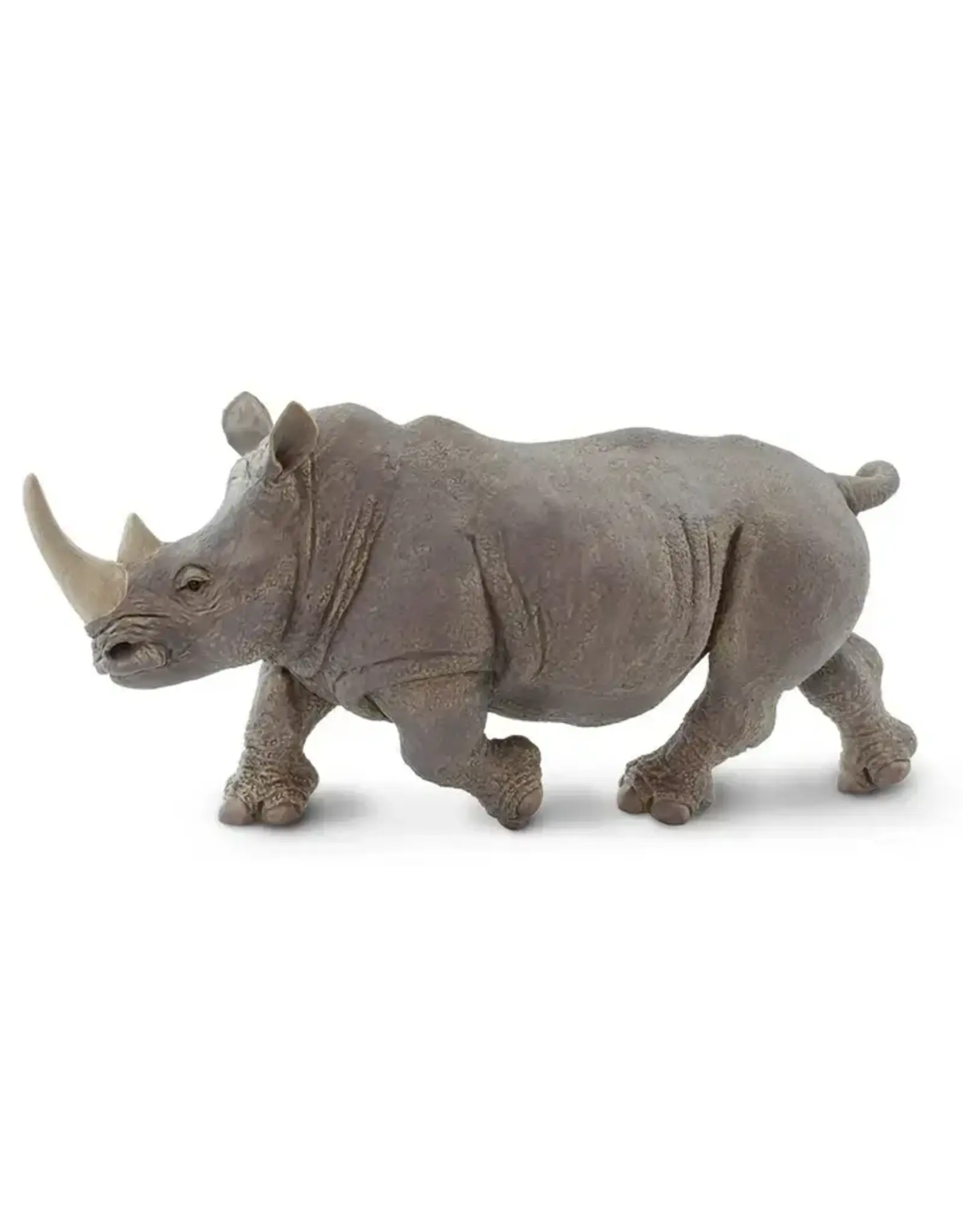 White Rhino - Large