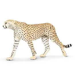 Cheethah - Large Cheethah - Large