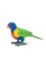 Lorikeet