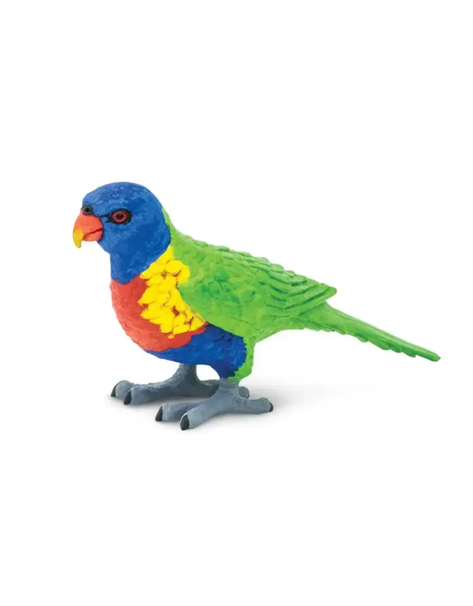 Lorikeet