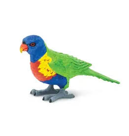 Lorikeet