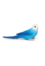 Blue Budgie