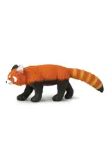 Red Panda
