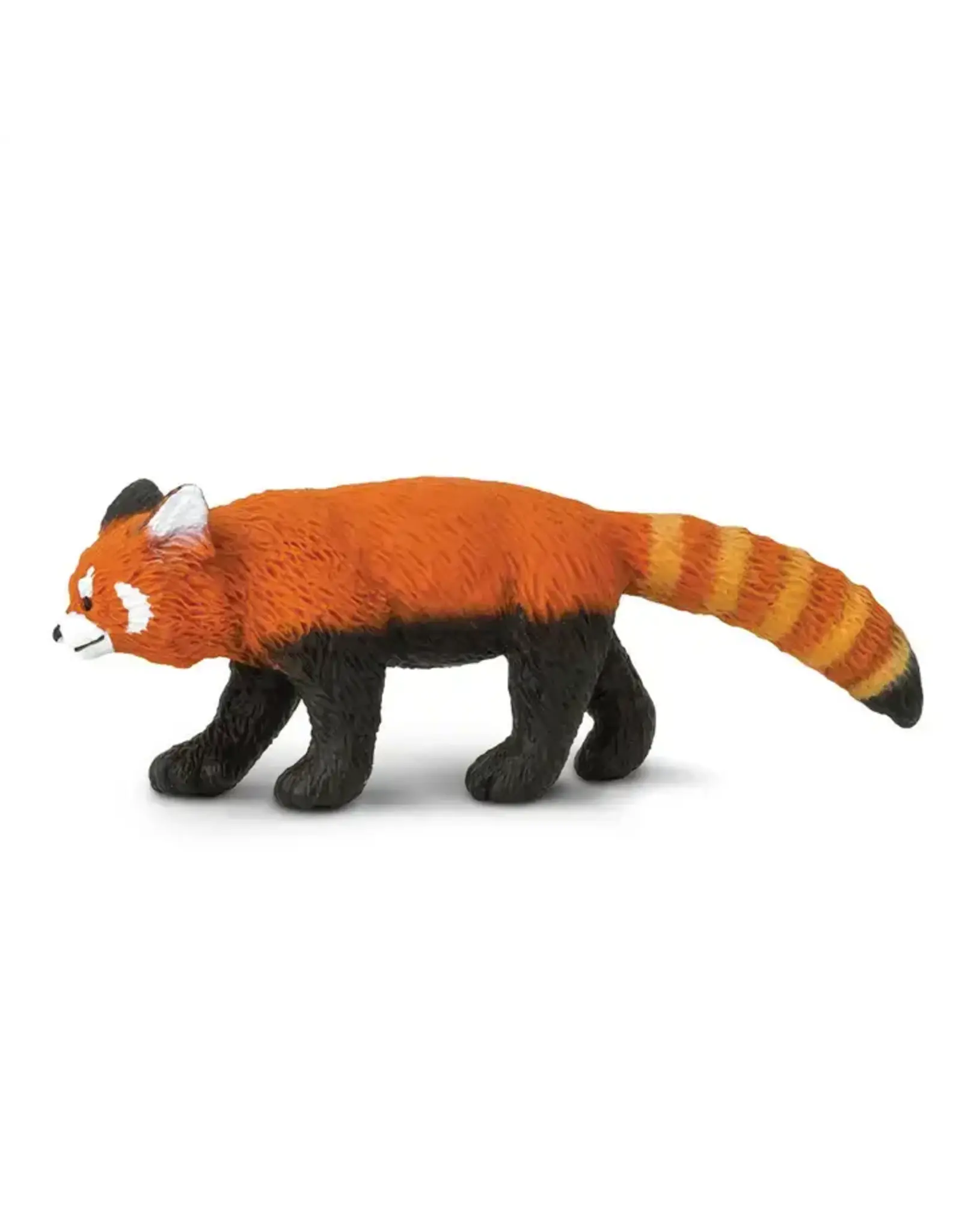 Red Panda