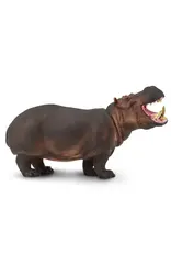 Hippopotamus