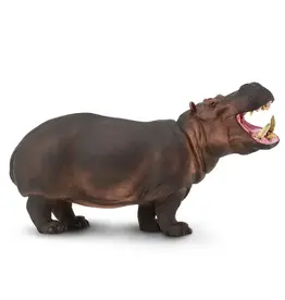 Hippopotamus