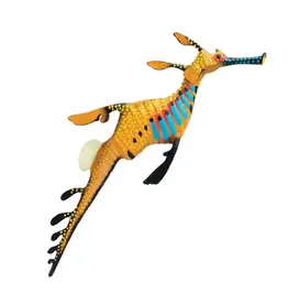 Weedy Seadragon