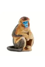 Snub Nosed Monkey