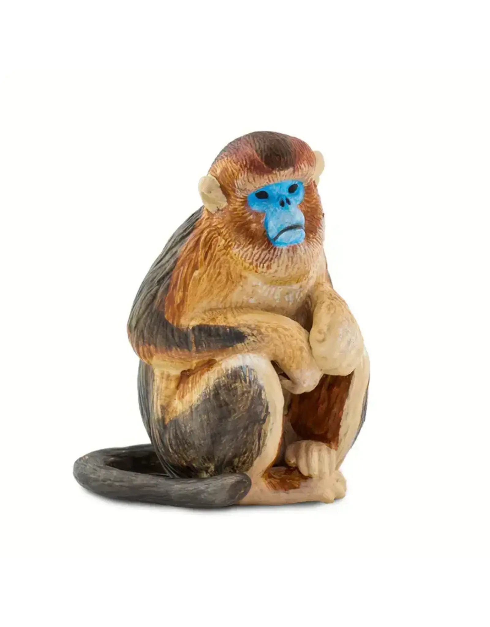 Snub Nosed Monkey