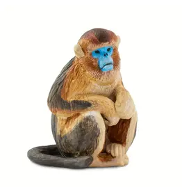 Snub Nosed Monkey