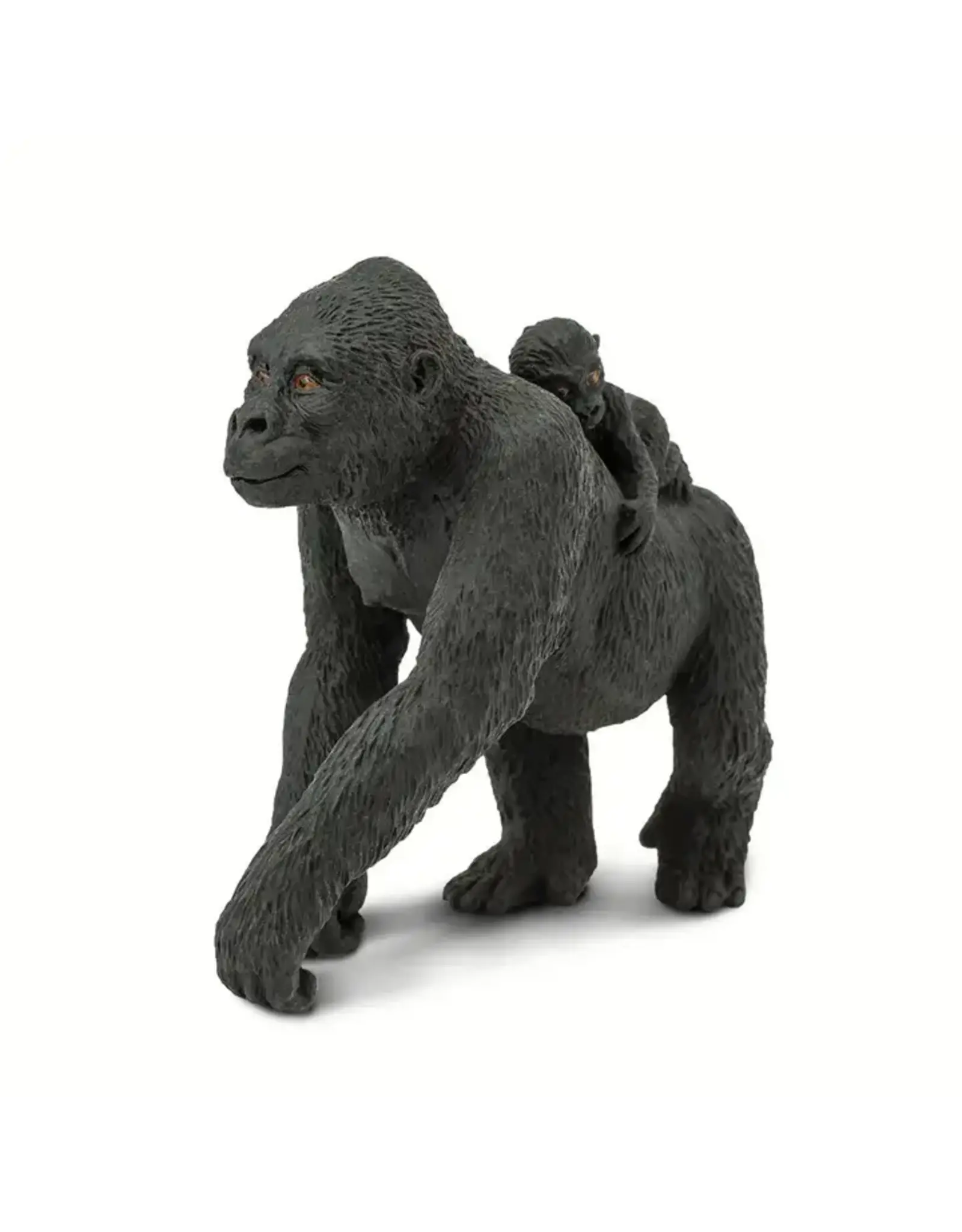Lowland Gorilla with Baby