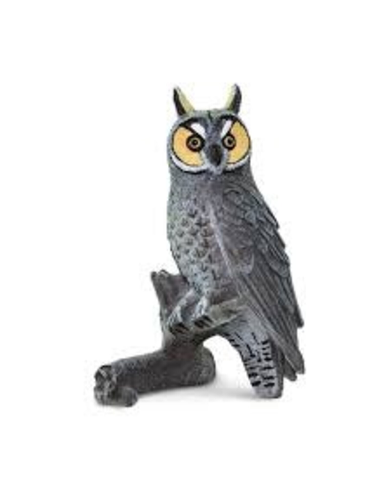 Long Eared Owl