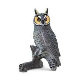 Long Eared Owl