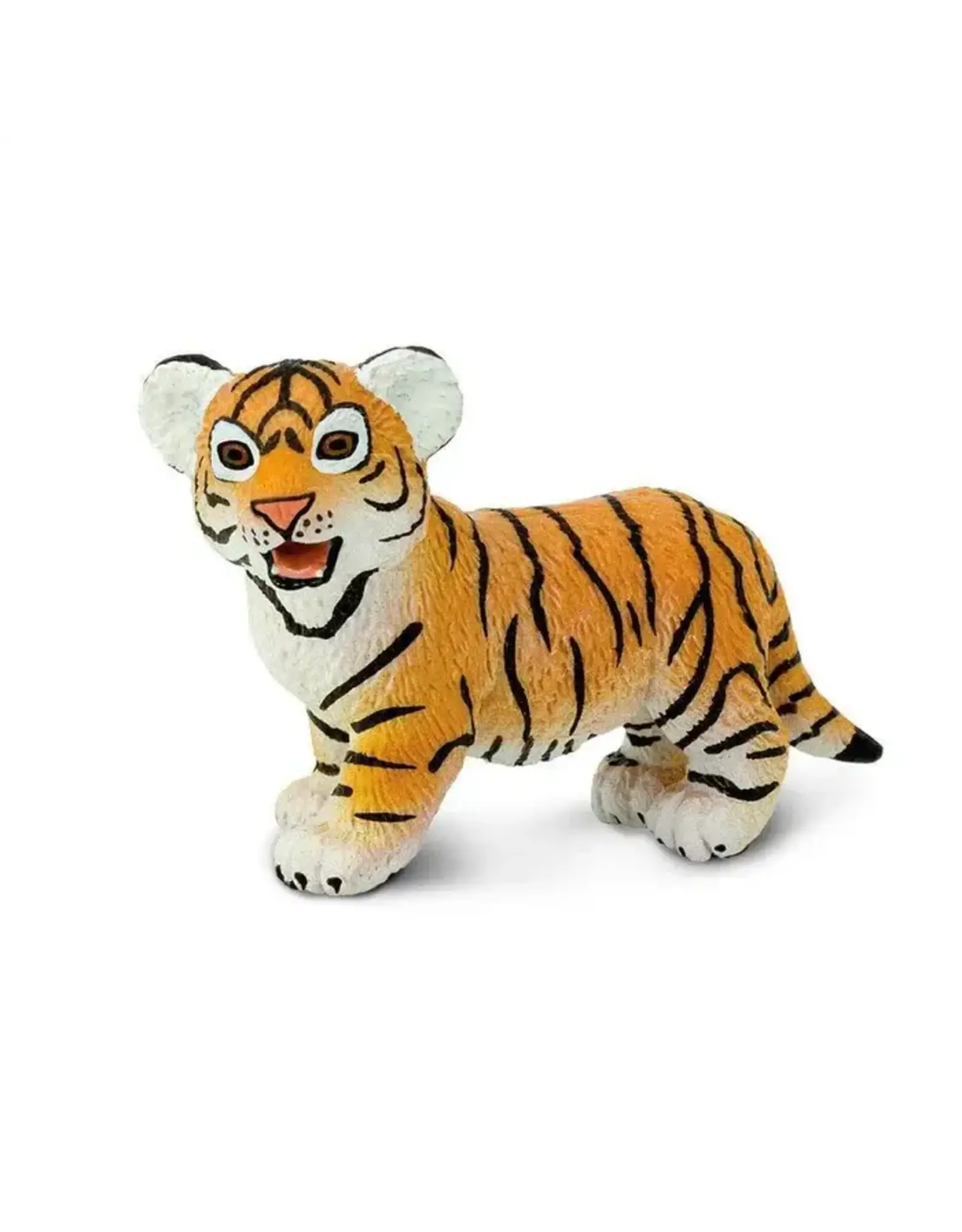 Bengal Tiger Cub