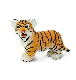 Bengal Tiger Cub