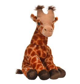 Giraffe Baby